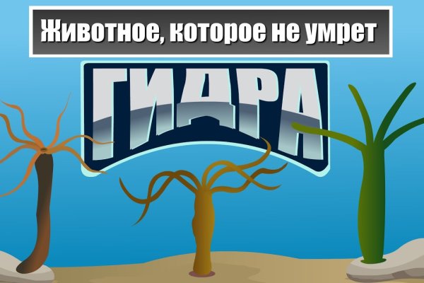 Кракен даркшоп